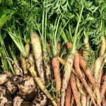 storeringheim_gardsmat_3937
