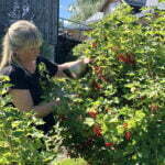 storeringheim_gardsmat_rips_4196