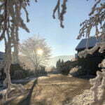 storeringheim_tunet_frost_6661